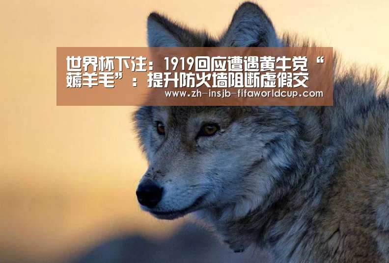 世界杯投注网