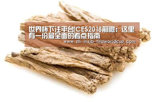 世界杯下注平台|CES2018前瞻:这里有一份最全面的看点指南(图2) 世界杯下注