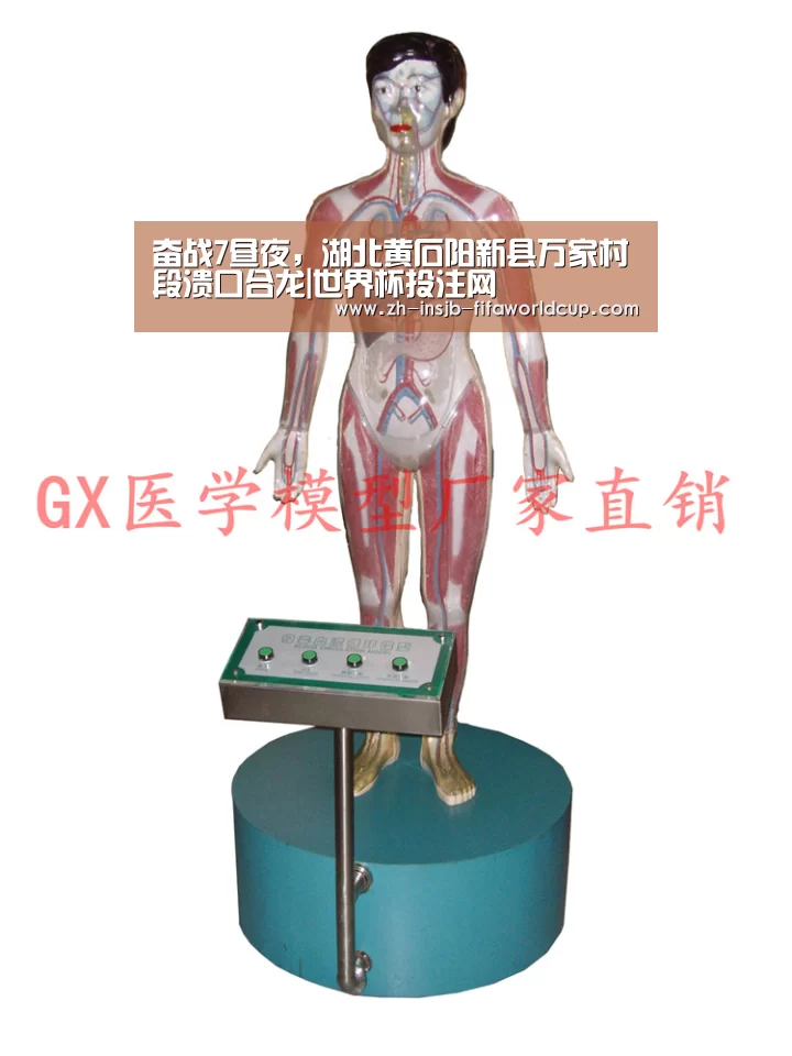 世界杯投注网