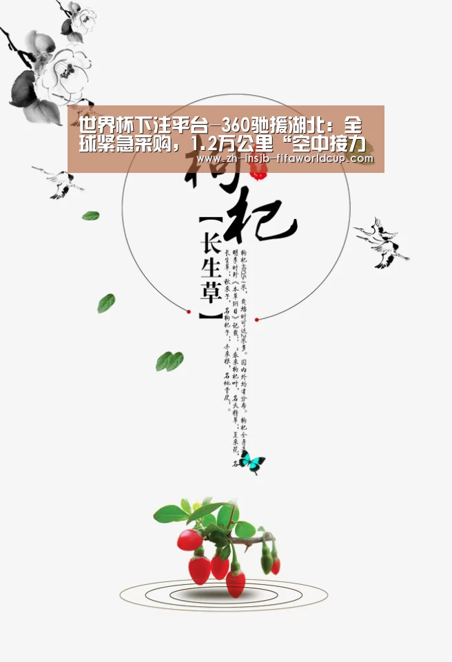 世界杯下注