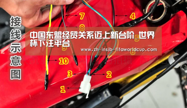 中国东盟经贸关系迈上新台阶_世界杯下注平台(图2) 世界杯下注平台