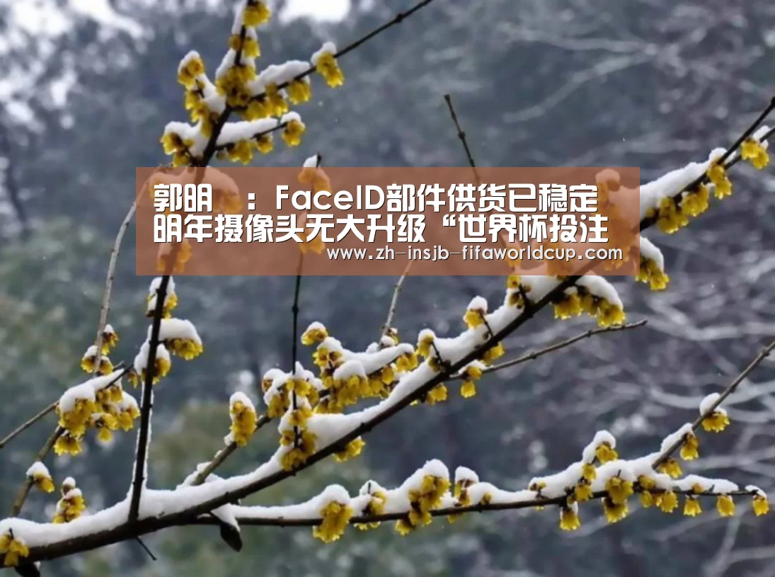 世界杯投注网