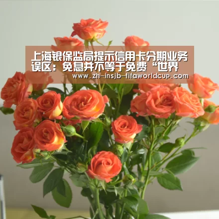 上海银保监局提示信用卡分期业务误区:免息并不等于免费“世界杯下注平台”(图1) 世界杯投注网