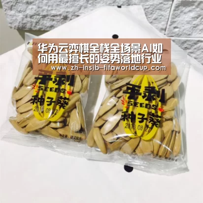 华为云弈棋全栈全场景AI如何用最擅长的姿势落地行业?-世界杯下注(图4) 世界杯下注