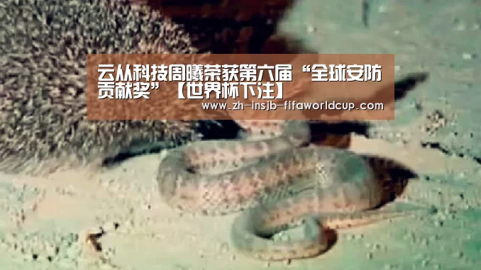 世界杯投注网