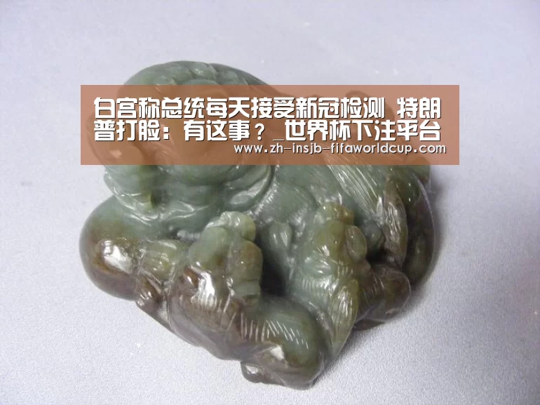 白宫称总统每天接受新冠检测 特朗普打脸:有这事?_世界杯下注平台(图1) 世界杯投注网