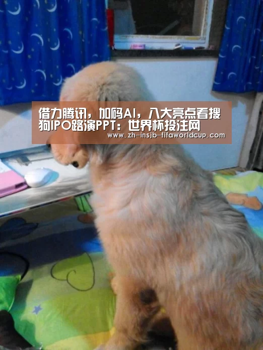 世界杯投注网