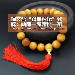 柯文哲“双城论坛”致辞:两岸一家亲比一家仇好|世界杯投注网(图4) 世界杯投注网