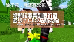 特斯拉股票到底价值多少?CEO马斯克称这位散户看法很深刻【世界杯下注平台】(图1) 世界杯下注平台
