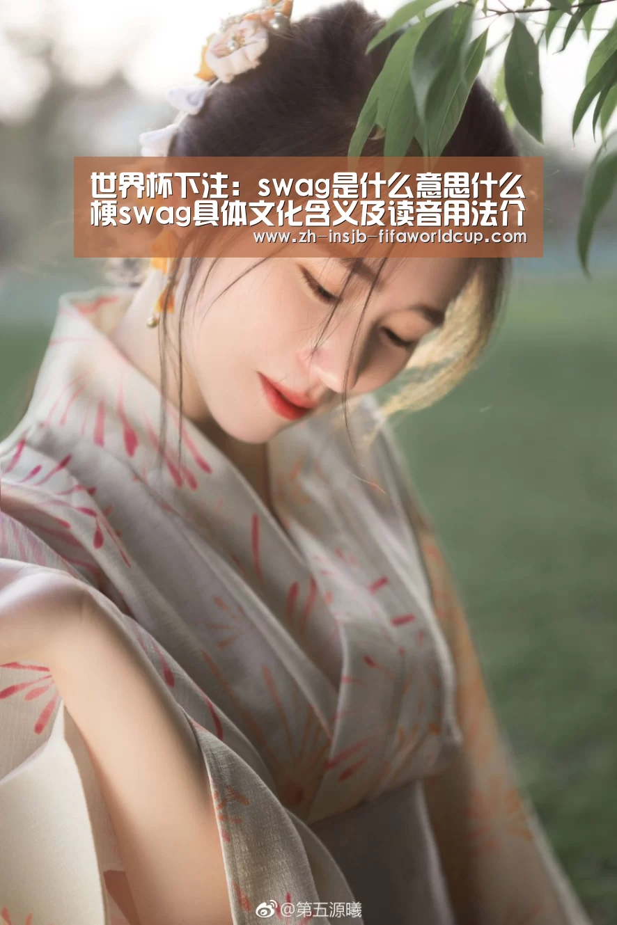世界杯下注:swag是什么意思什么梗swag具体文化含义及读音用法介绍(图3) 世界杯投注网