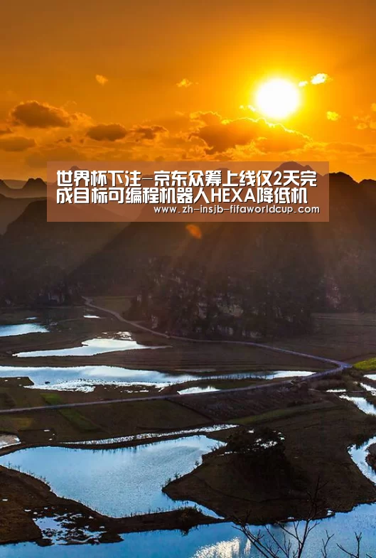 世界杯下注-京东众筹上线仅2天完成目标可编程机器人HEXA降低机器人开发门槛(图2) 世界杯下注平台